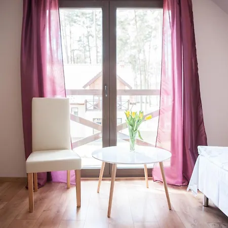 Niegocin Apartment Wilkasy (Gizycko)