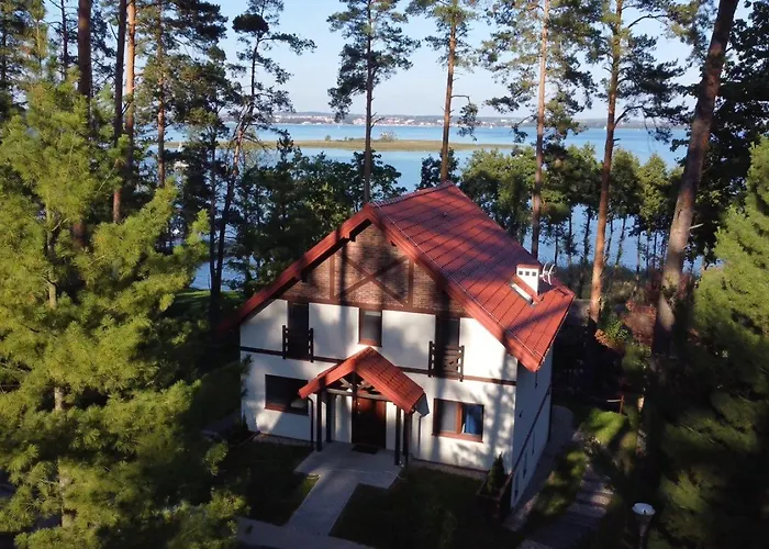 Niegocin * ويلكاسي