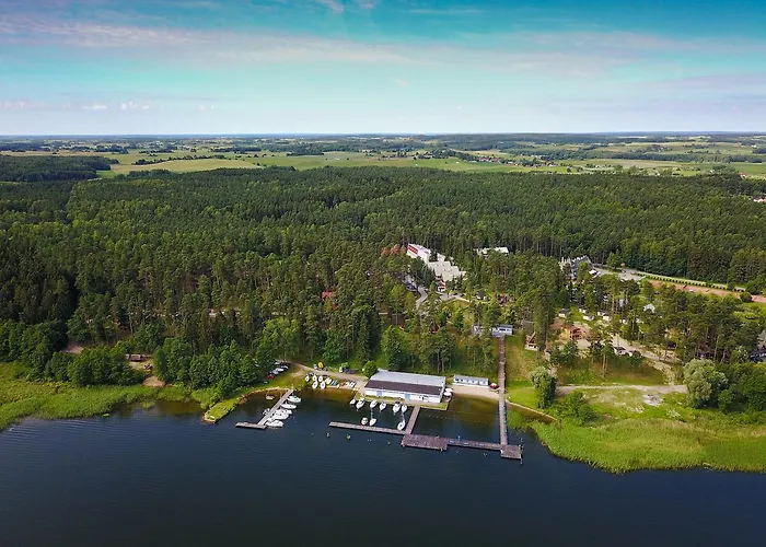 Niegocin * ويلكاسي